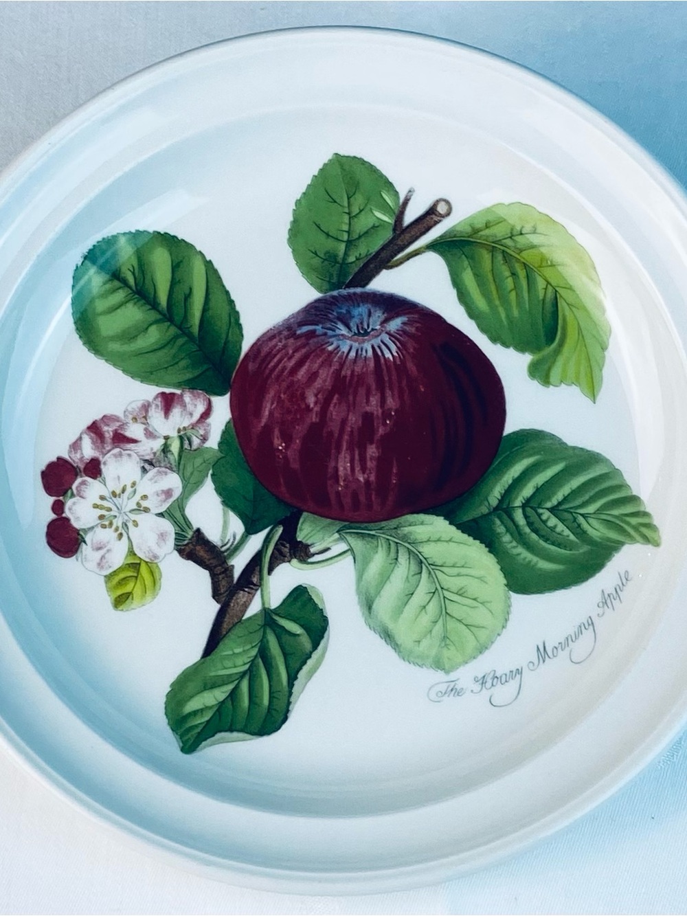 Portmeirion Dinner Plate “The Hoary Morning Apple” 10- 1/2”